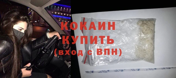 крисы Дмитров