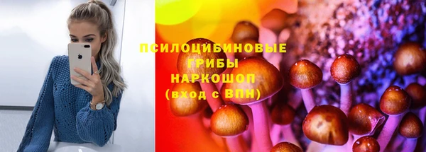 крисы Дмитров