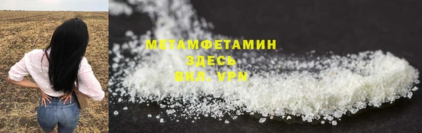 индика Дмитровск