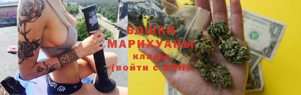 крисы Дмитров