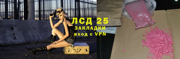 индика Дмитровск