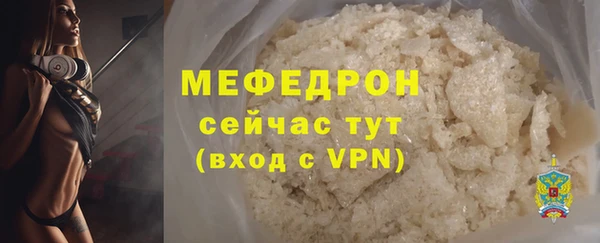 индика Дмитровск