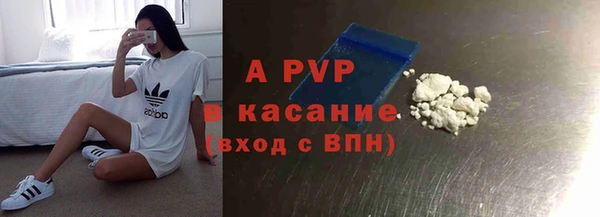 крисы Дмитров