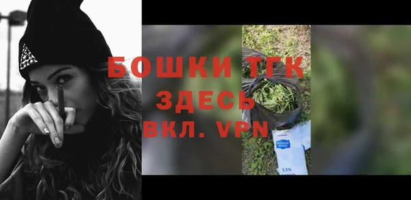 индика Дмитровск