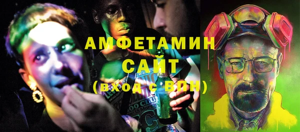 индика Дмитровск