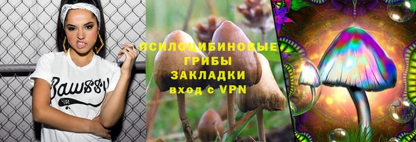 крисы Дмитров