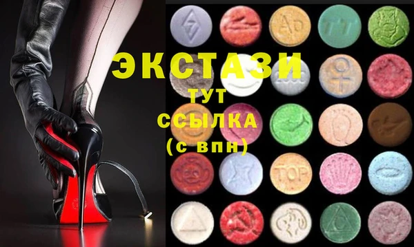 индика Дмитровск