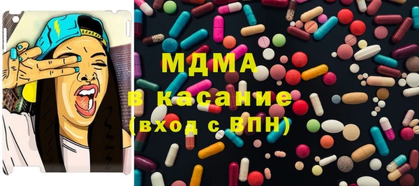 индика Дмитровск