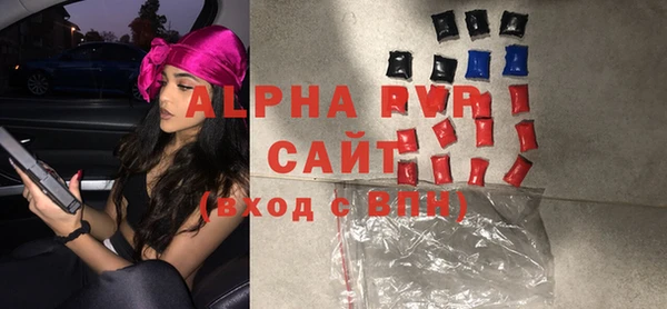 индика Дмитровск