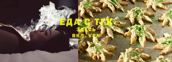 индика Дмитровск