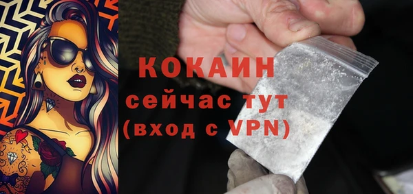 крисы Дмитров