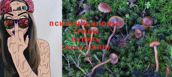 индика Дмитровск